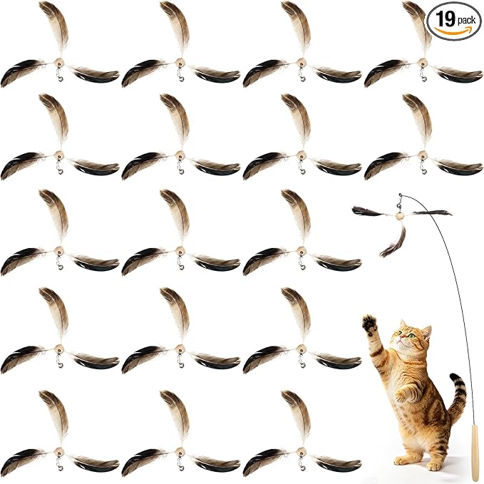 Outus 19 Pcs Cat Toys Bulk 1 Kitten Wand 18 Cat Spinning Feather Toys Refills, Cats Wand Replacement Feather for Indoor Cats