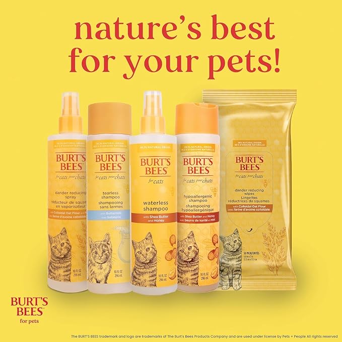 Burt's Bees for Pets Waterless Cat Shampoo Spray, No-Rinse Cat Dry Shampoo with Shea Butter & Honey for Gentle Cleaning Between Baths, pH Balanced, No Harsh Detergents, 10 Fl Oz