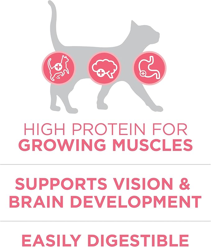 Purina ONE High Protein, Natural Dry Kitten Food, +Plus Healthy Kitten Formula - 16 lb. Bag