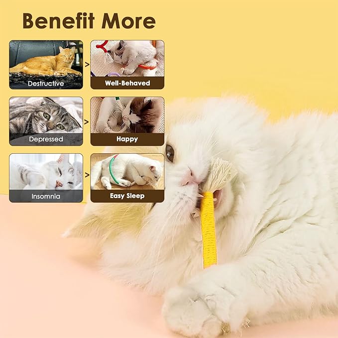 Letalong 3 PCS Cotton Rope Cat Toys with 1 Pack Catnip for Indoor Cats, Interactive Cat Rope Toys with Silvervine Fruit for Cats and Kittens, Handmade Pet Chew Toys for Teeth Cleaning