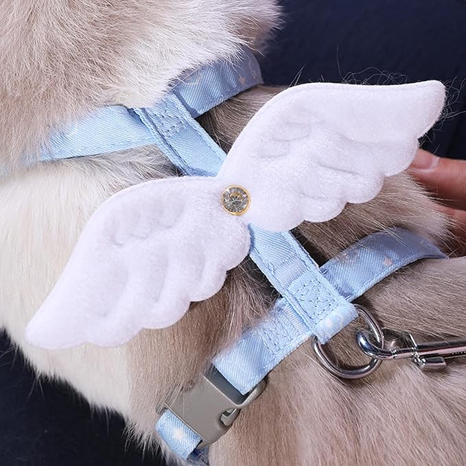 Cat Harness and Leash Set White Wing for Outdoor Travel Walking Escape Proof Soft Safe Adjustable Kitten Puppy Small Strap Angel Style Blue, M