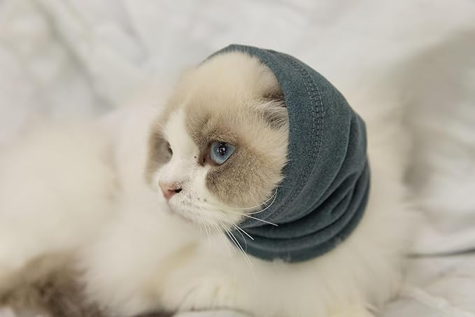 Cat Ear Cover Ear Wrap Hematoma Compression Keep Calm Comfort Anti Anxiety Relief Snood for Dog Aqua Blue S
