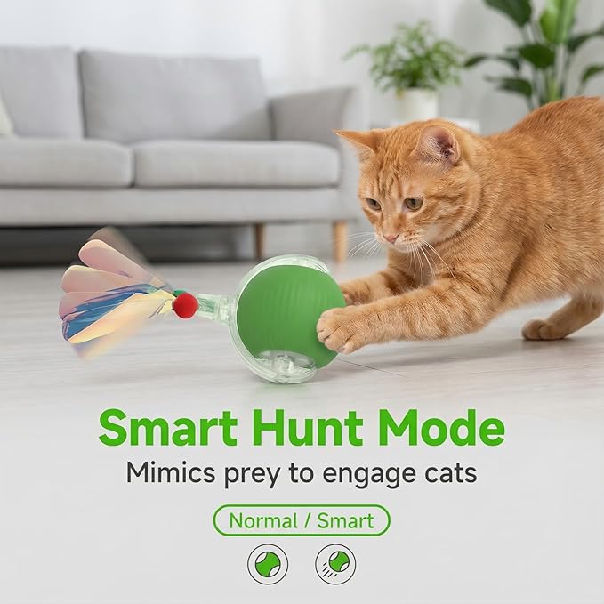 Interactive Cat Toy for Indoor Cats - Automatic Cat Toy Ball with Tail, Self Moving Electric Kitten Toys, USB Rechargeable Smart Rolling Ball, Motion Activated Cat Enrichment Toys for Bored Cats Green