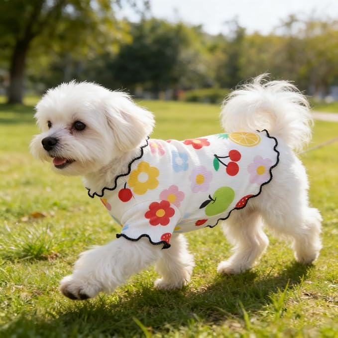 Winmany Dog Cooling Shirt for Small Dog Cat, Puppy Summer Sun Protection Stretchable Breathable Quick Dry Pet Vest Outfit, Beige Fruit, Large