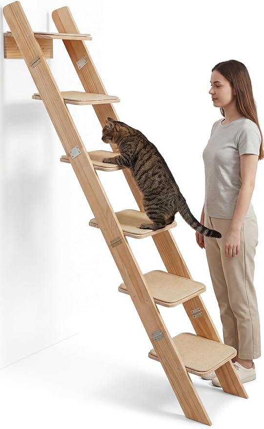 65" Tall 6-Level Cat Ladder for Window & wall | Fits Cats up to 20 lbs |Senior & Less Agile cat Stairs for Window with 55° Gentle Incline | Requires 31" Floor Clearance | No-Drill Glass Installation