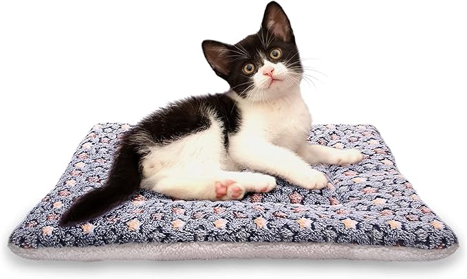 FJWYSANGU Fluffy Pet Cat Blanket Soft Coral Velvet Pet Puppy Cushion Mat Warm Cover Soft Pad Mat(Star V2/Dark Blue,Small)