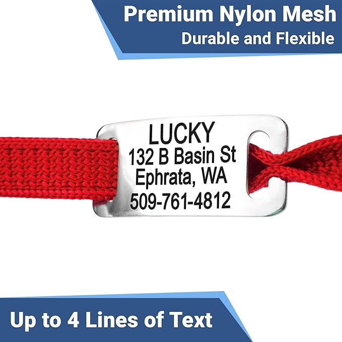 GoTags Cat Collars with Personalized Tag, Breakaway Collar with Safety Buckle Matching Bell, Engraved Custom with Name and Phone, Adjustable for Cats and Kitten, (Pink with Nameplate)
