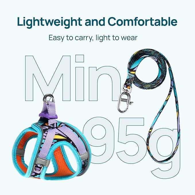 PetThem Upgraded Cat Harness and Leash Set - Step-in Escape Proof Adjustable Cat Harness, Comfortable Soft Lightweight, Reflective Harness for Walking, Travel, Camping (Butterfly Magic, XXS)