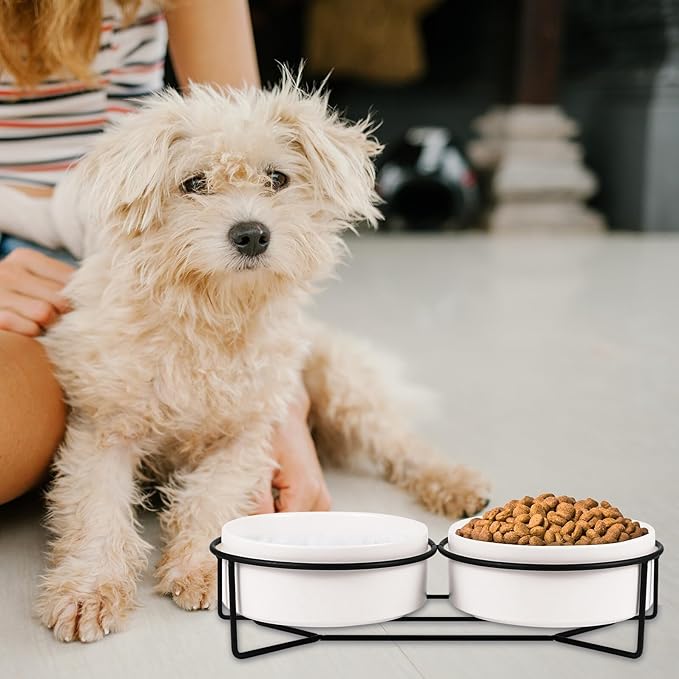 POPETPOP Ceramic Double Pet Bowl Set with Black Iron Elevated Stand, 13cm Raised Cat Feeder and Dog Food Bowl for Stable Feeding and Watering