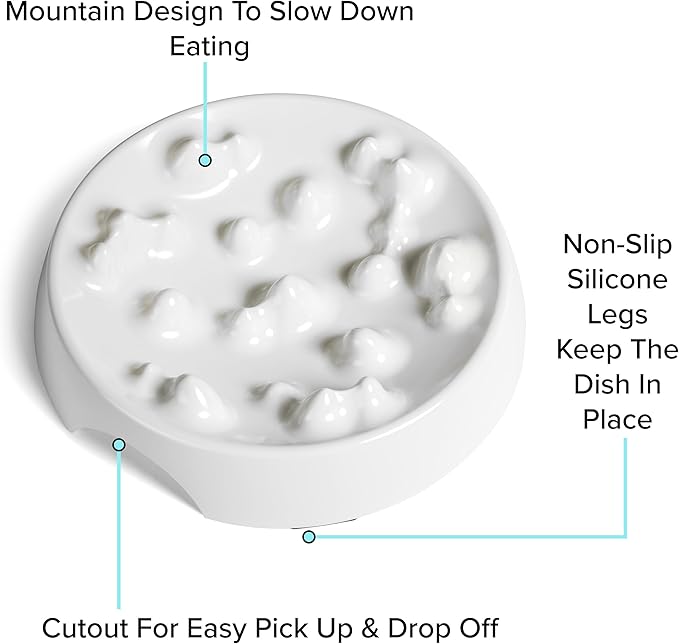 CatGuru Cat Bowls, Whisker Friendly Food Bowl for Indoor Cats, Reliefs Whisker Fatigue, Wide Kitten Dish, Non Slip Pet Dishes, Shallow Pet Plates
