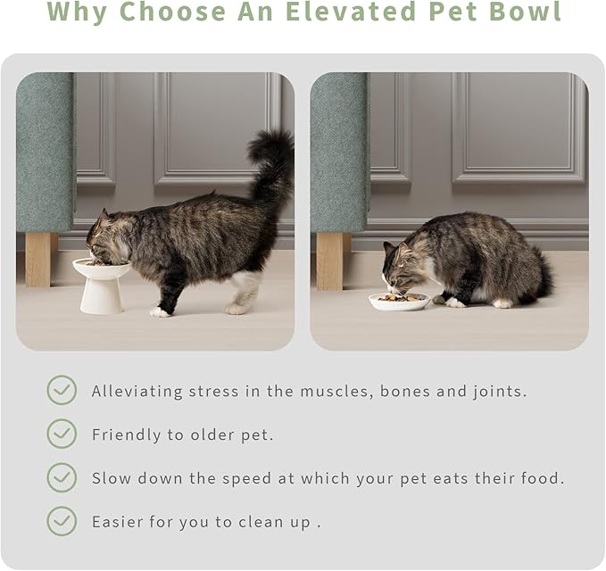 CEEFU 2 Elevated Ceramic Cat Bowls Upgraded with Food Mat, Extra Wide for Food & Water – Whisker Fatigue Shallow Food Dish, Lead & Cadmium-Free, Raised Height for Cats, White