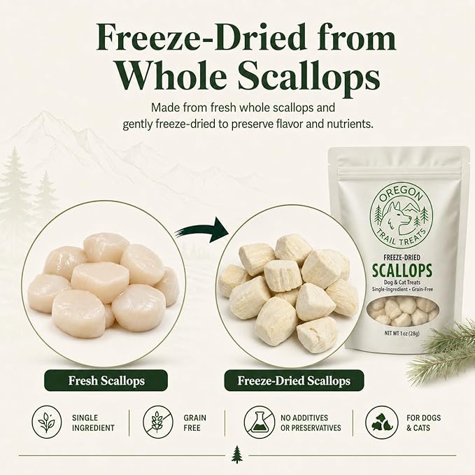Oregon Trail Treats Freeze-Dried Scallops Dog & Cat Treats - Single Ingredient Premium Bay Scallops Grain Free 1 oz