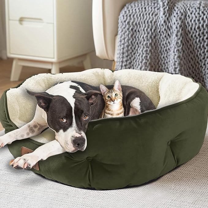Asvin Medium Dog Bed for Medium Dogs, Cat Beds for Indoor Cats, Pet Bed for Puppy and Kitty, Extra Soft & Machine Washable with Anti-Slip & Water-Resistant Oxford Bottom, Green, 25 inches
