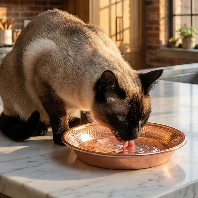 Decorative Cat Bowl: Hammered Copper Pet Food & Water Basic Bowls for Cats and Dogs, 13cm/5in Wide Mouth Metal Snacks Dish, Easy Carry Pets Feeder