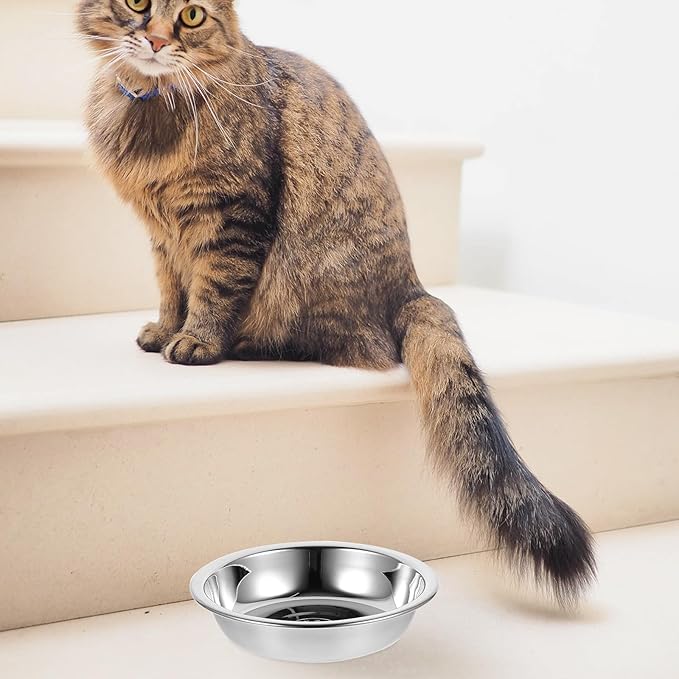 Stainless Steel Pet Bowl Set 5pcs 304 Food-Grade Raised Round Cat Bowls Sturdy Puppy Feeder for Indoor Feeding and Watering Supplies