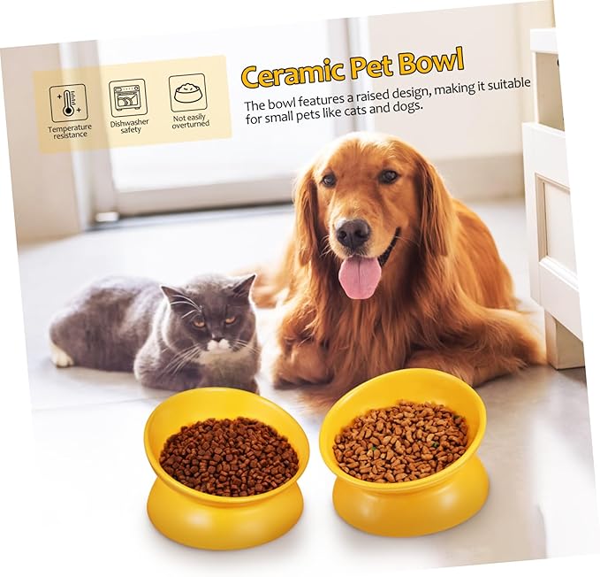 ibasenice Elevated Ceramic Cat Bowl Stylish Design for Pet Feeding and Watering Comfortable Height for Easy Access Versatile Use for Cats and Dogs