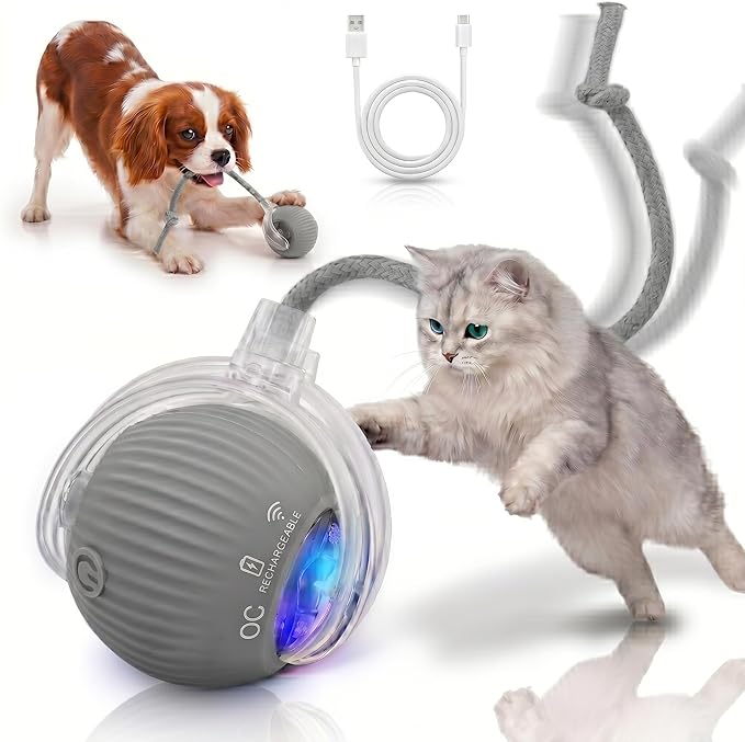 Smart Ball 2.0 - Automatic Cat Toy & Interactive Dog Toys for Small Dogs - Moving Cat Toy Ball for Indoor Cats - Motion Activated, Light Up, USB-C Rechargeable Pet Toy, 2 Speed Modes [Gray]