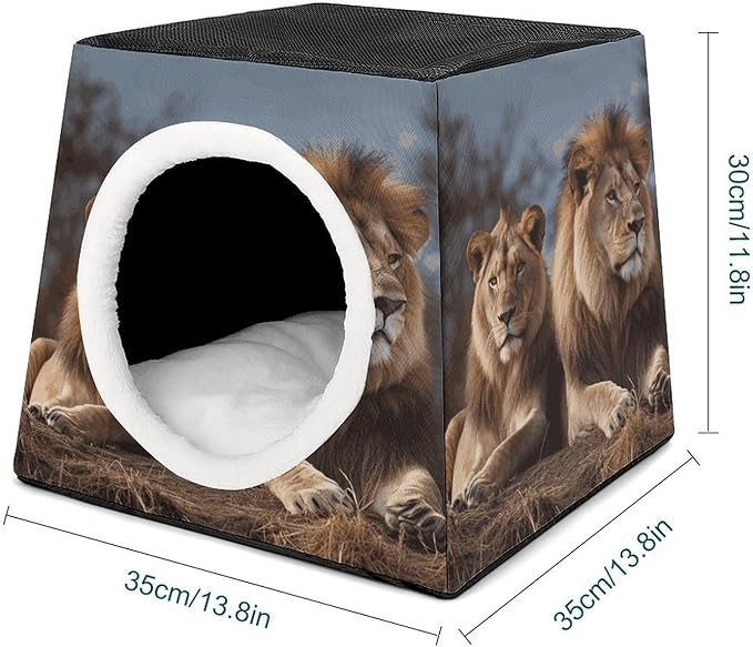Cat Cave Cat Beds for Indoor Cats Two Lions Foldable Cat Hideaway with Washable Cushion and Non-Slip Base