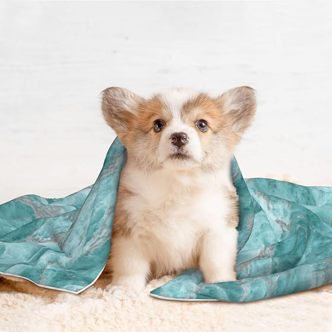 Cat Dog Blanket Turquoise Marble Smooth Polished Stone Texture Ultra Soft Warming Mat for Indoor Pet Beds Furniture 27.6 X 19.7inch