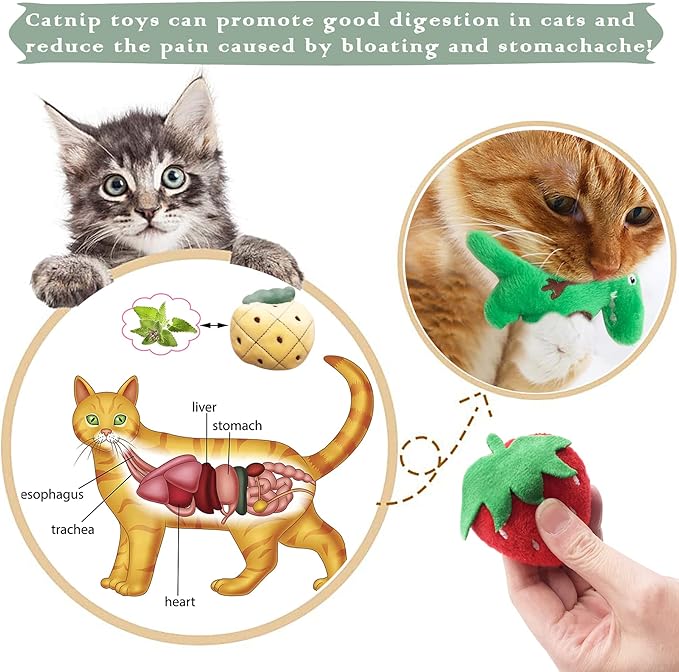 Catnip Toys for Indoor Cats 10 Pcs Small Plush Toys with Catnip Kitten Stuffed Toy