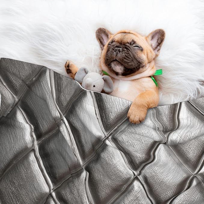 Cat Dog Blanket Steel Embossed Panel with Diamond Pattern Ultra Soft Warming Mat for Indoor Pet Beds Furniture 27.6 X 19.7inch