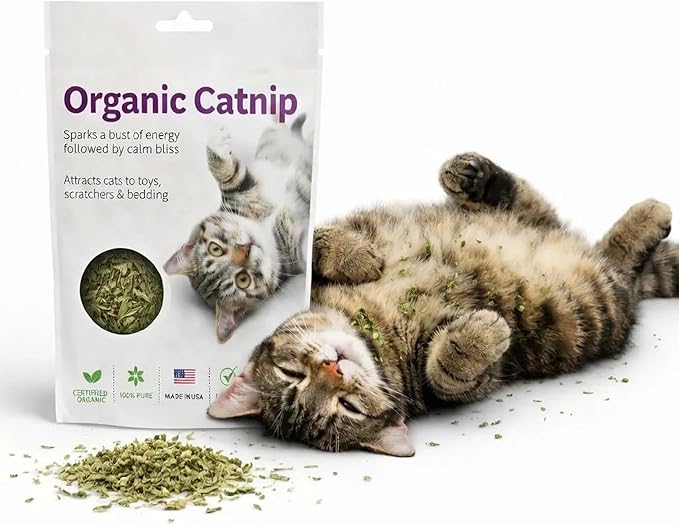 Organic Catnip for Cats USDA Certified Dried Herb Made in USA - 3 oz Total Premium Natural Cat Treats Strong Fresh Loose Leaf Catnip Herbs Resealable Bag Best Single Ingredient Cat Nip Buds Bulk
