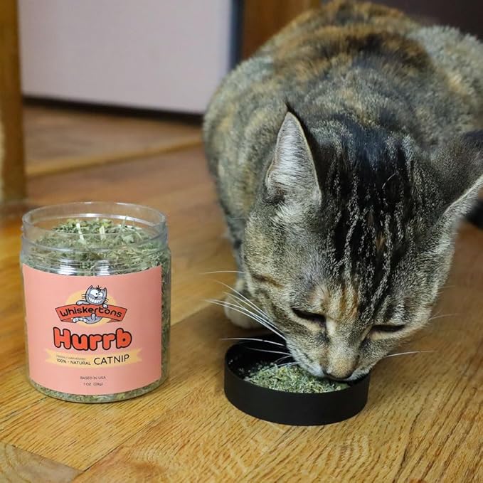 Whiskertons Hurrb Catnip for Cats & Kittens, 100% Natural & Safe Catnip Treats Used for Refillable Catnip Toys & Accessories, 1 Ounce