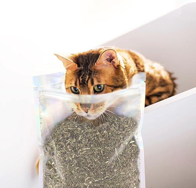 Dried Catnip, Natural Catmint, Used as a Snack or Filling Cat Toy, Delicately Dried and Sealed and Packaged for Easy Preservation