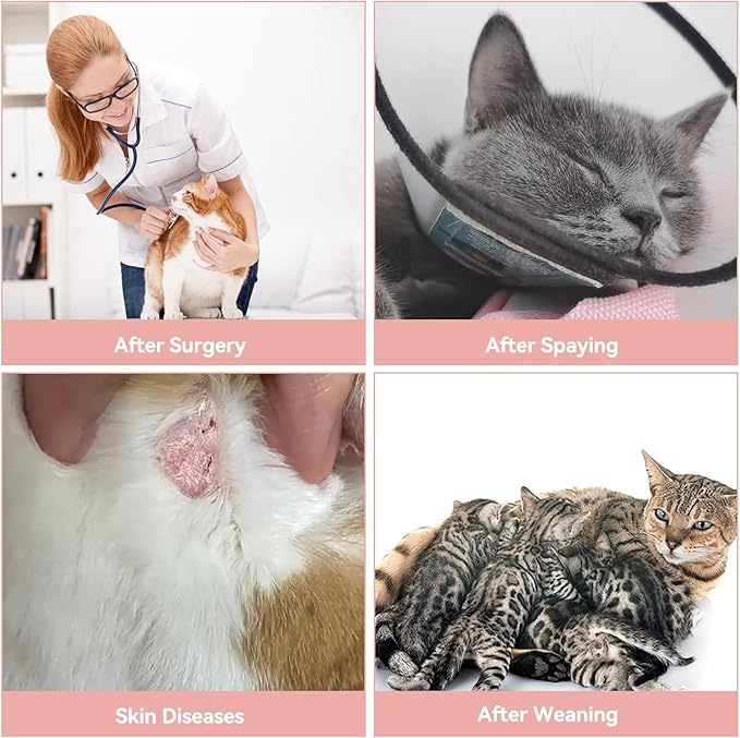 2 PCS Cat Recovery Suit for Spay Abdominal Wounds Female, Cat Onesie for Cats After Surgery, Pet Surgery Recovery Suit Kitten Onesie for Cats Anti Licking (Colorful (2PCS), Large)