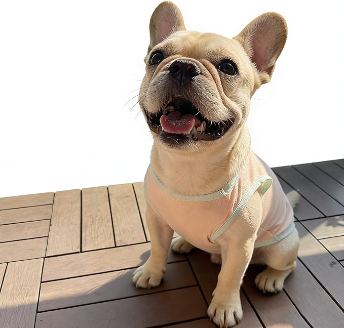 2Pcs Cooling Shirts for Small Dogs, Sleeveless Dog Vest, Lightweight Breathable Dog Summer Tank Top Sun Protection Shirts for Dogs Cats Pet Apparel (MintGreen Pink, X-Large Size for 12-16.5lb Pets)