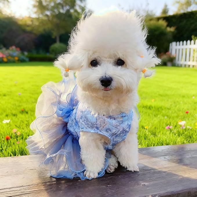 Blue Princess Small Dog & Cat Dress - Sequin Tutu Outfit with Bow Knot & Pearl Decor | Formal Pet Clothes for Wedding, Birthday, Party | Fit Chihuahua, Yorkie, Kitten (Blue-Bow, X-Large)