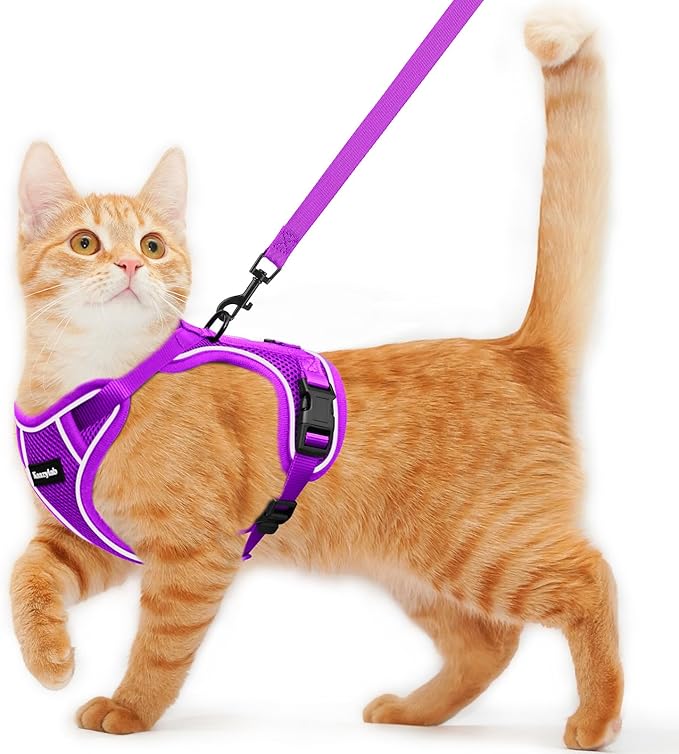 Cat Harness and Leash for Walking Escape Proof Soft Adjustable Cat Leash Breathable Comfortable Vest Easy to Wear Kitten Harness for Outdoor Travel (Purple, XS (4-6lb))