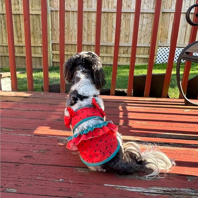 Funny Dog Swimwear Bikini Summer Dog Clothes Beach Swimsuit Puppy Bathing Suit Puppy Vest Cooling Pet Shirt for Small Dogs, Cat Apparel (Watermelon, Medium)