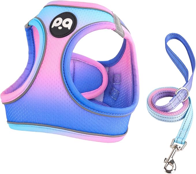 QQPETS Cat Harness and Leash Set for Walking Escape Proof, Safe Adjustable Kitten Vest with Reflective Strips, Easy Control Soft Mesh Lightweight Jacket (Blue-Pink Gradient, M(15.7”-17.7”))