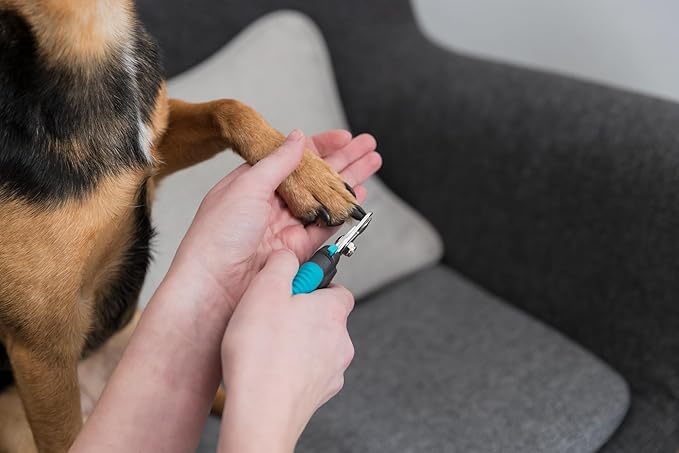 TRIXIE Pet Grooming Nail Clippers, for Medium and Large Size Dogs, 6" (16cm)