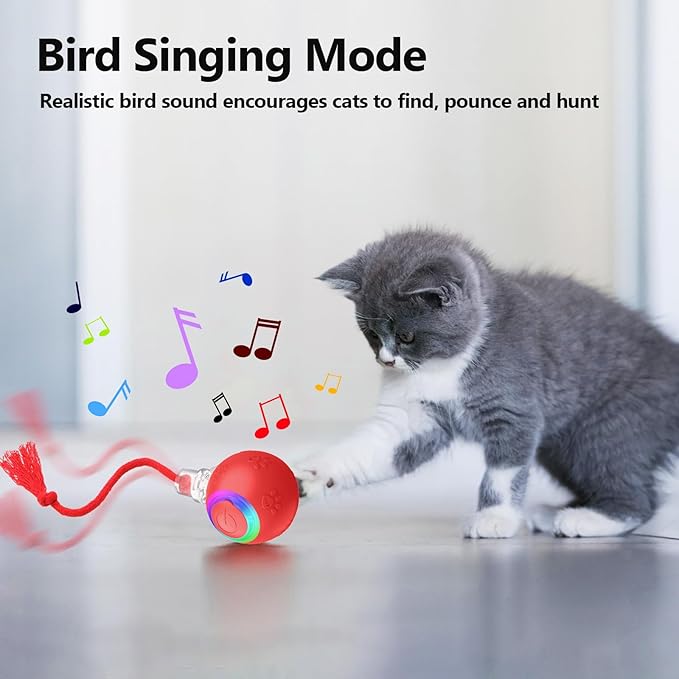 2-in-1 Automatic Moving Ball Cat Toy with Teaser Wand - Interactive Self-Moving Toy with Bird Sounds & LED Lights, Rechargeable Motorized Play for Indoor Cats to Chase, Exercise(Blue)