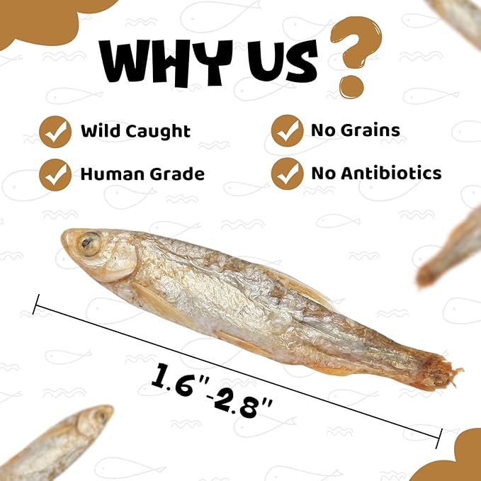 Minnows - Freeze Dried Minnows for Dogs & Cats, 100% Natural Single Ingredient Dog & Cat Treats, 2 oz