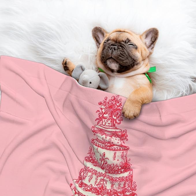 Cat Dog Blanket Simple Red Line Drawing Multi-Tiered Cake Ultra Soft Warming Mat for Indoor Pet Beds Furniture 27.6 X 19.7inch