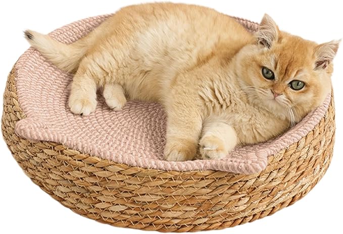 Cat Lounge Disc Bed Circular Sisal Fiber Ventilated Cooling Scratch Board Pad Rest Sleep Toy Tunnel Jump Fitness Paw Care Relaxation Ergonomic Nonslip FurnitureSafe Premium