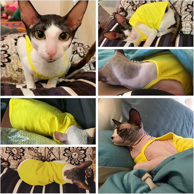 Hairless Cats Solid Cotton Camisole, Breathable Summer Tank Tops for Sphynx, Cornish Rex, Devon Rex, Peterbald, Cat Wear Hairless Cat Clothes Soft Skin-Friendly Cats Apparel Assorted Colors and Sizes