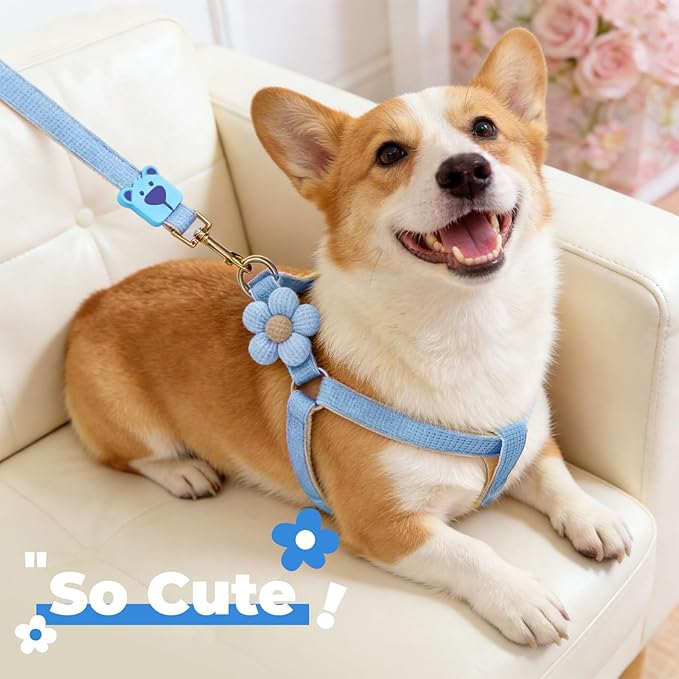 PETCARE Cute Flower Dog Harness and Bowtie Leash Set Easy Walk Puppy Dog Halter Harnesses for Small Dogs Boy Step in Dogs Harness with Buckle (Blue, Chest Adjustable 13"-20", Rope Width 0.79")