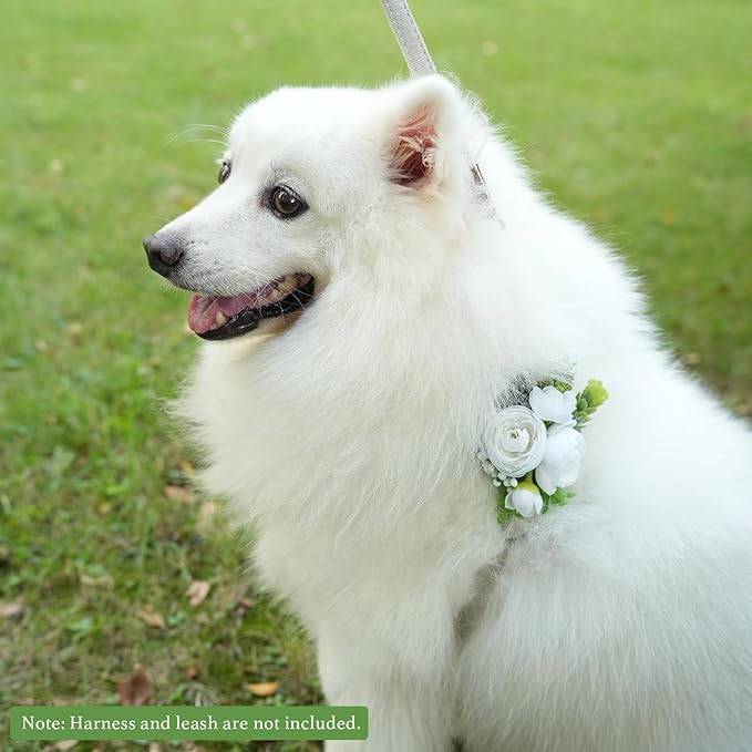 Pet Collar Flower Dog Wedding Flower Bow Tie Removable Floral Accessory for Dog Collar Elegant Rose Charm for Wedding Ceremony Puppies Cats Grooming, Pet Photo Prop (White)