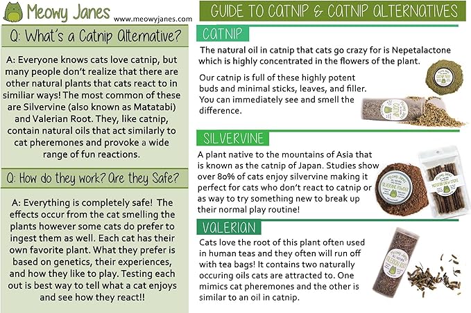Meowy Janes All Natural Silvervine Catnip Blend, Bottle (1 Cup)