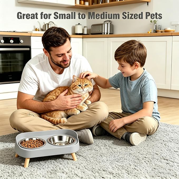 Elevated Cat Bowls, 2 Stainless Steel Raised Cat Food and Water Bowl Set, Splash Proof & Non-Slip, Whisker Fatigue Friendly, Dishwasher Safe for Cats and Small Dogs - Gray