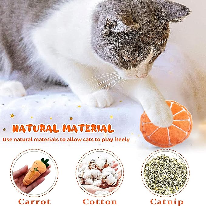 Catnip Toys for Indoor Cats 10 Pcs Small Plush Toys with Catnip Kitten Stuffed Toy