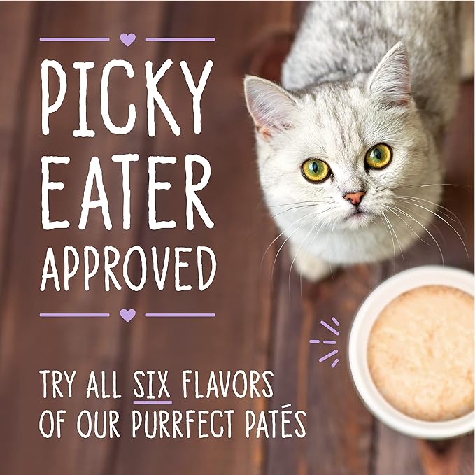 Stella & Chewy's Carnivore Cravings Purrfect Paté - Premium Grain-Free Wet Cat Food - Duck & Chicken Recipe - High Protein with Bone Broth - Perfect for Picky Eaters - 2.8oz Cans (24 Pack)