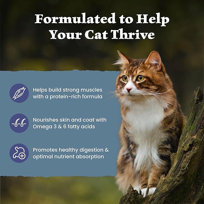 Blue Buffalo Wilderness High Protein Grain Free Dry Food for Adult Cats, 40% Protein, with Chicken, 15 lb. Bag