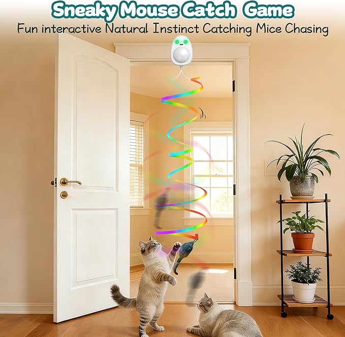 Interactive Cat Toys for Indoor Cats,Electric Flying Bird & Mouse Wand Teaser, Automatic Hanging Door Frame Chase/Hunt/Exercise Stimulate String Cat Toy for Bored Indoor Adult & Kitten