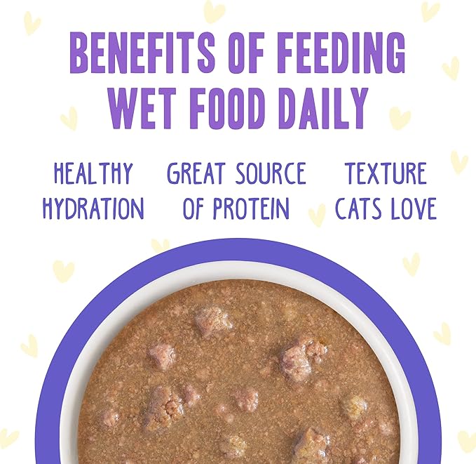 Weruva B.F.F. OMG - Best Feline Friend Oh My Gravy!, Chicken & Beef Be Happy with Chicken & Beef in Gravy, 2.8oz Can (Pack of 12)