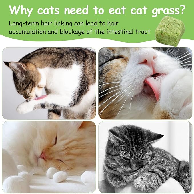 120g Cat Grass Treats for Indoor Cats, Freezed Dried Cat Grass Teething Stick Snacks for Cats, Edible Feline Chew Toys for Hairball Control and Oral Health